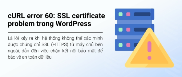 cURL,  SSL, WordPress
